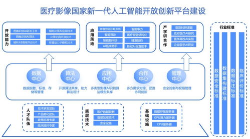 人工智能的前瞻實踐 打造醫(yī)療影像AI國家級平臺